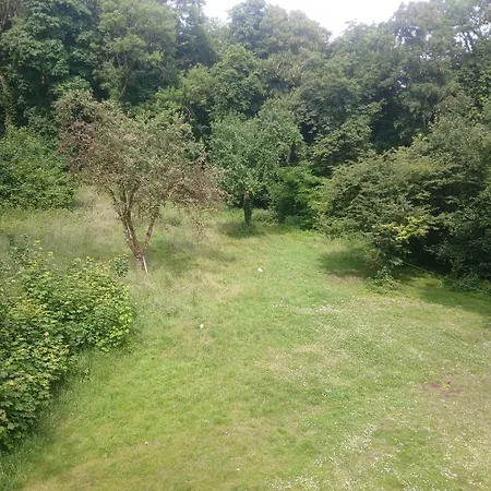 Au Coeur De La Foret Plappeville