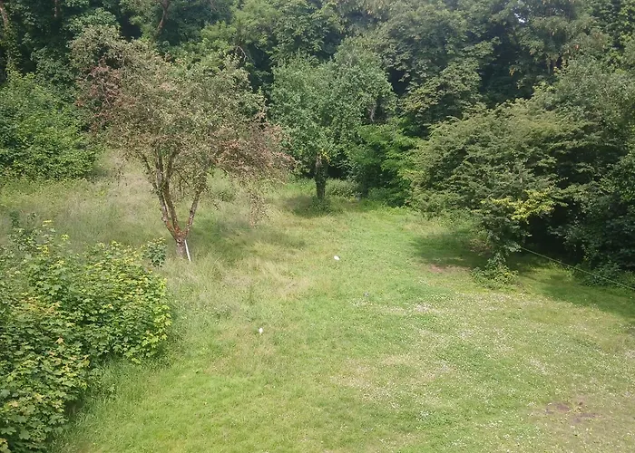 Au Coeur De La Foret Plappeville